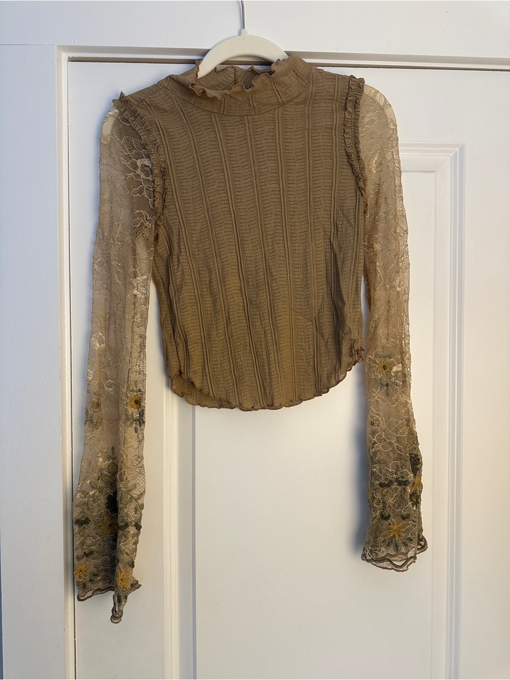 Free People Don’t Blame Me Sheer Lace Top